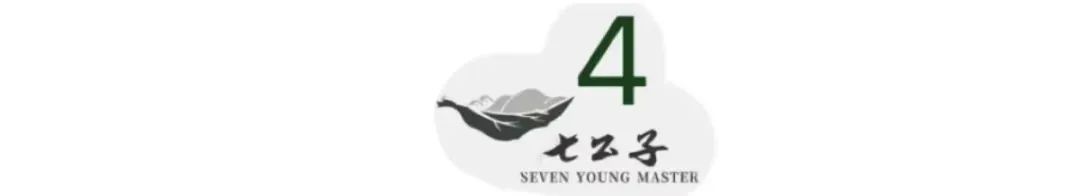 陈情令王一博爆红,陈情令王一博永远都是仙气飘飘