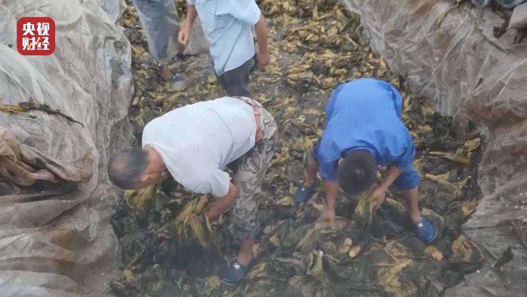 315晚会曝光了这12件事,315连夜执法