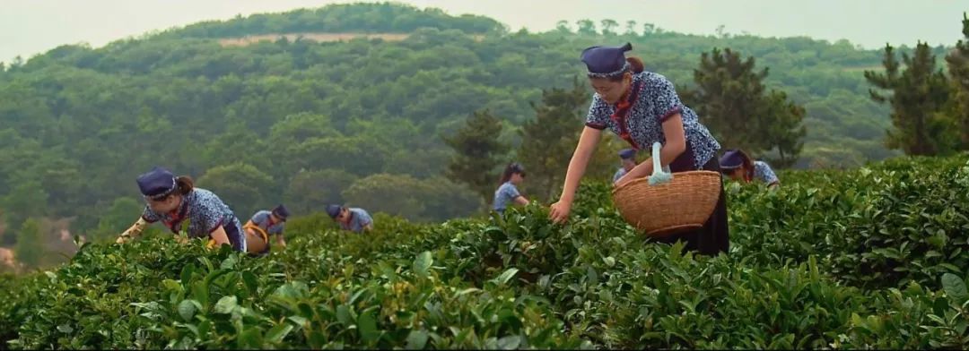 沂蒙乡村振兴学习感悟,乡村振兴看沂蒙专题