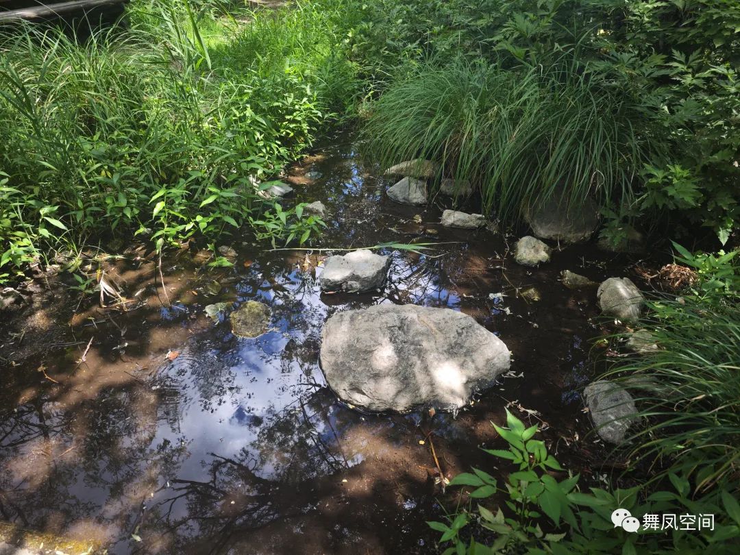 白虎涧为什么被称为北京的后花园,北京名胜白虎涧