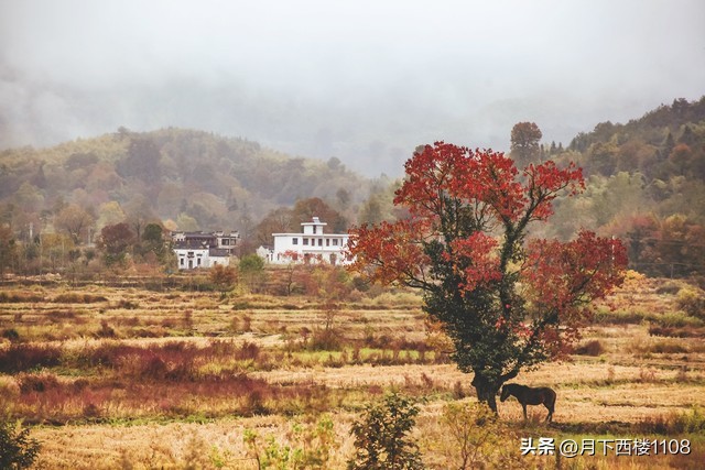 江淮大地，八皖之乡。新一届中央委员和候补委员中有多少安徽人？