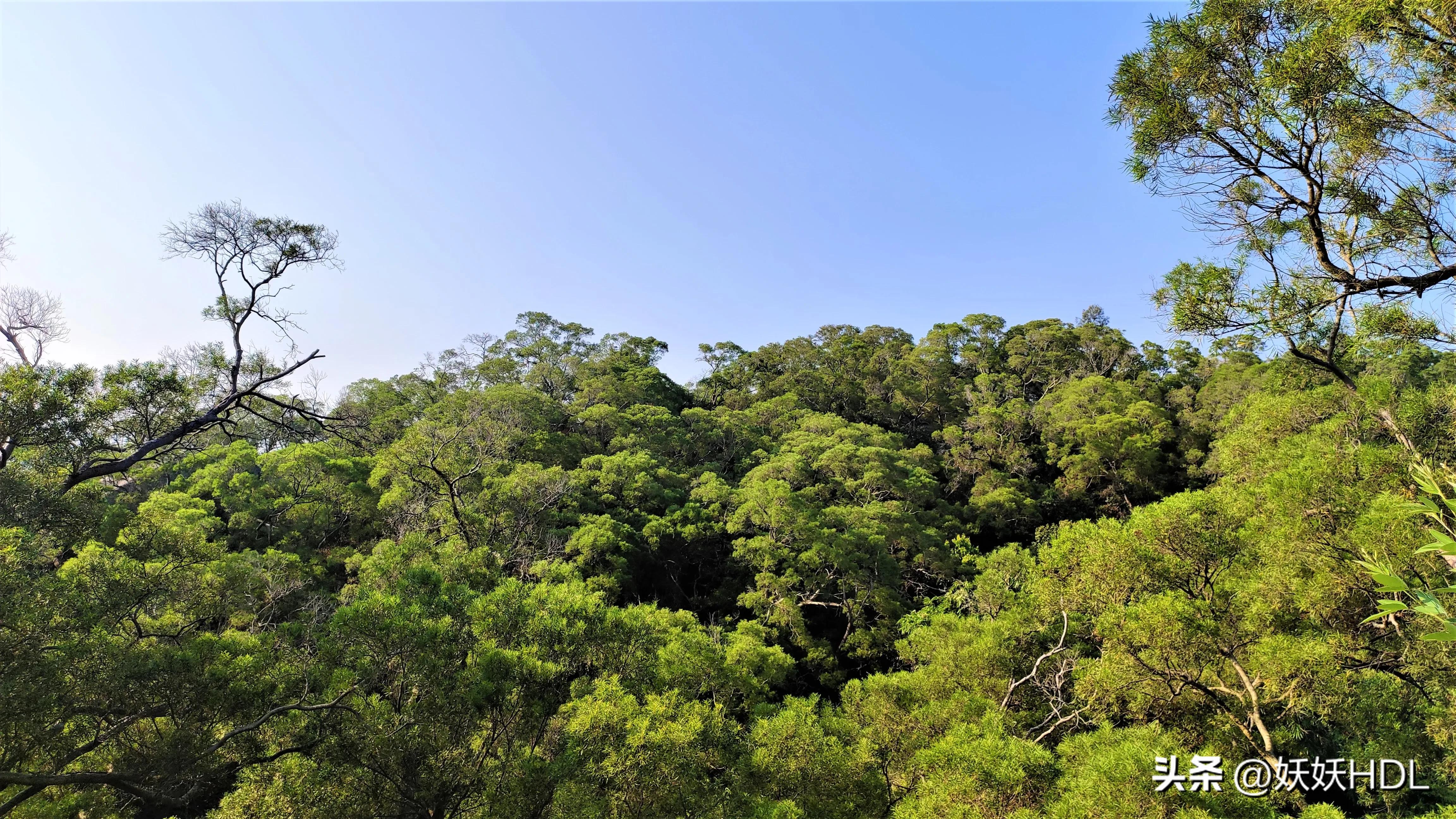 厦门山海健康步道的观音山出入口,厦门东坪山山海步道最佳路线图