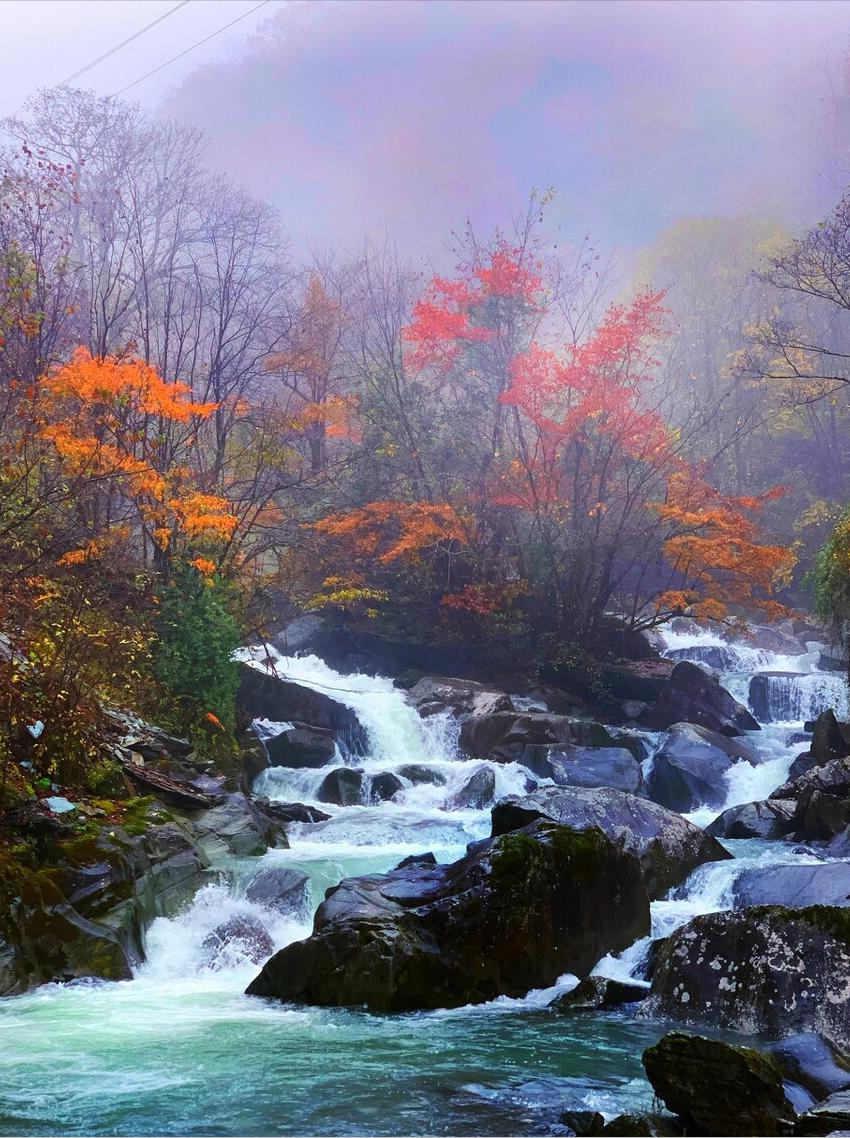 李商隐的夜雨寄北表达什么,唐诗三百首夜雨寄北李商隐