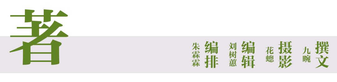 广东香水柠檬10块钱一斤,10块一杯的柠檬茶如何提高单价