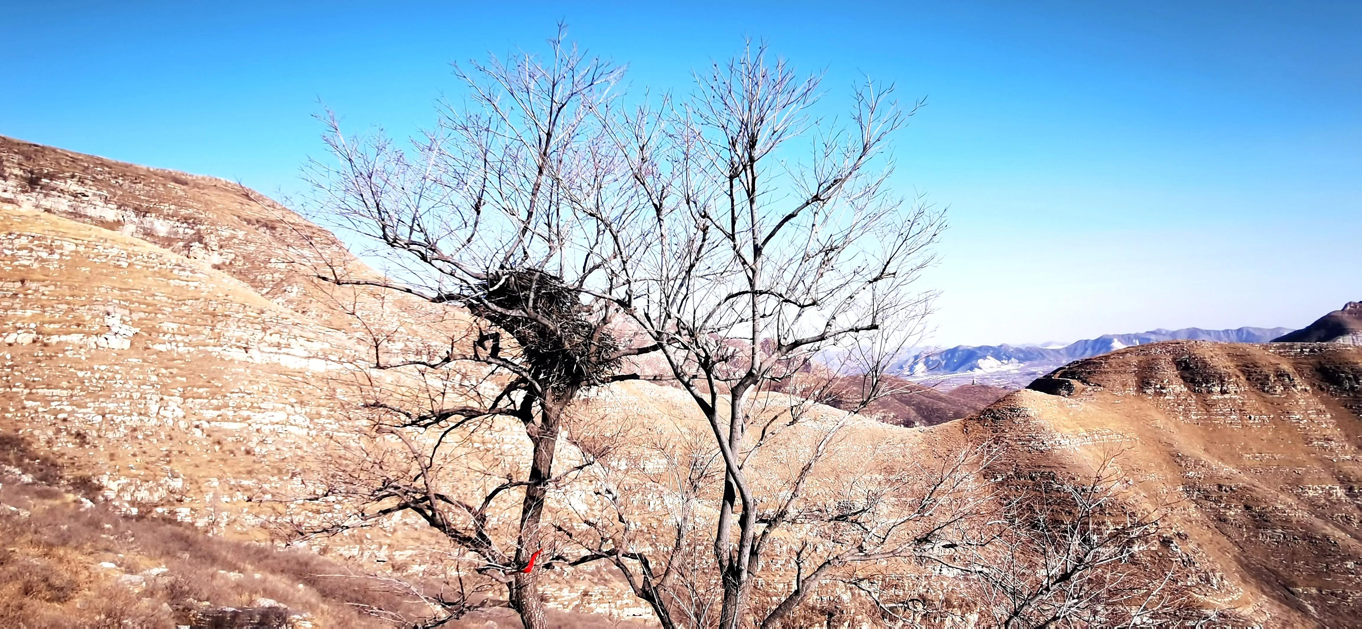 满城黄土寨旅游攻略,满城黄土寨打卡地