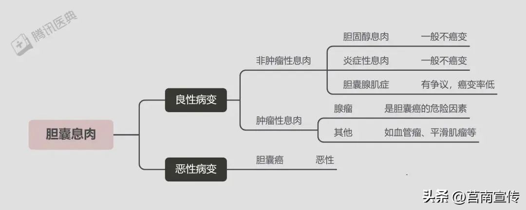 发现息肉，离癌有多远？