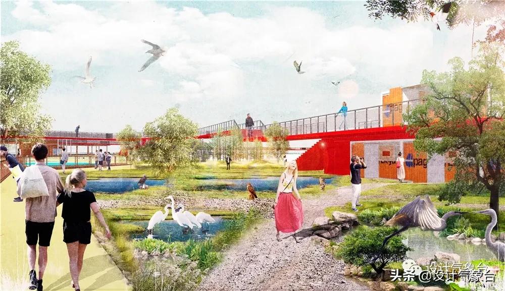 湿地景观效果图,big惜败完整视频