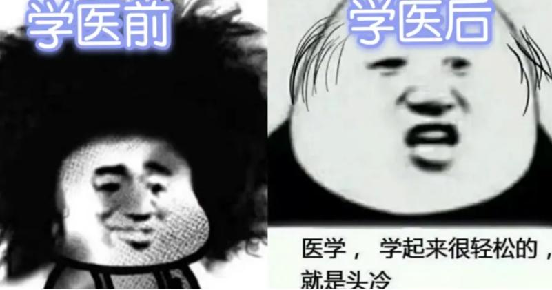 医科大最新排名,哈医大冲出全国前十可能性