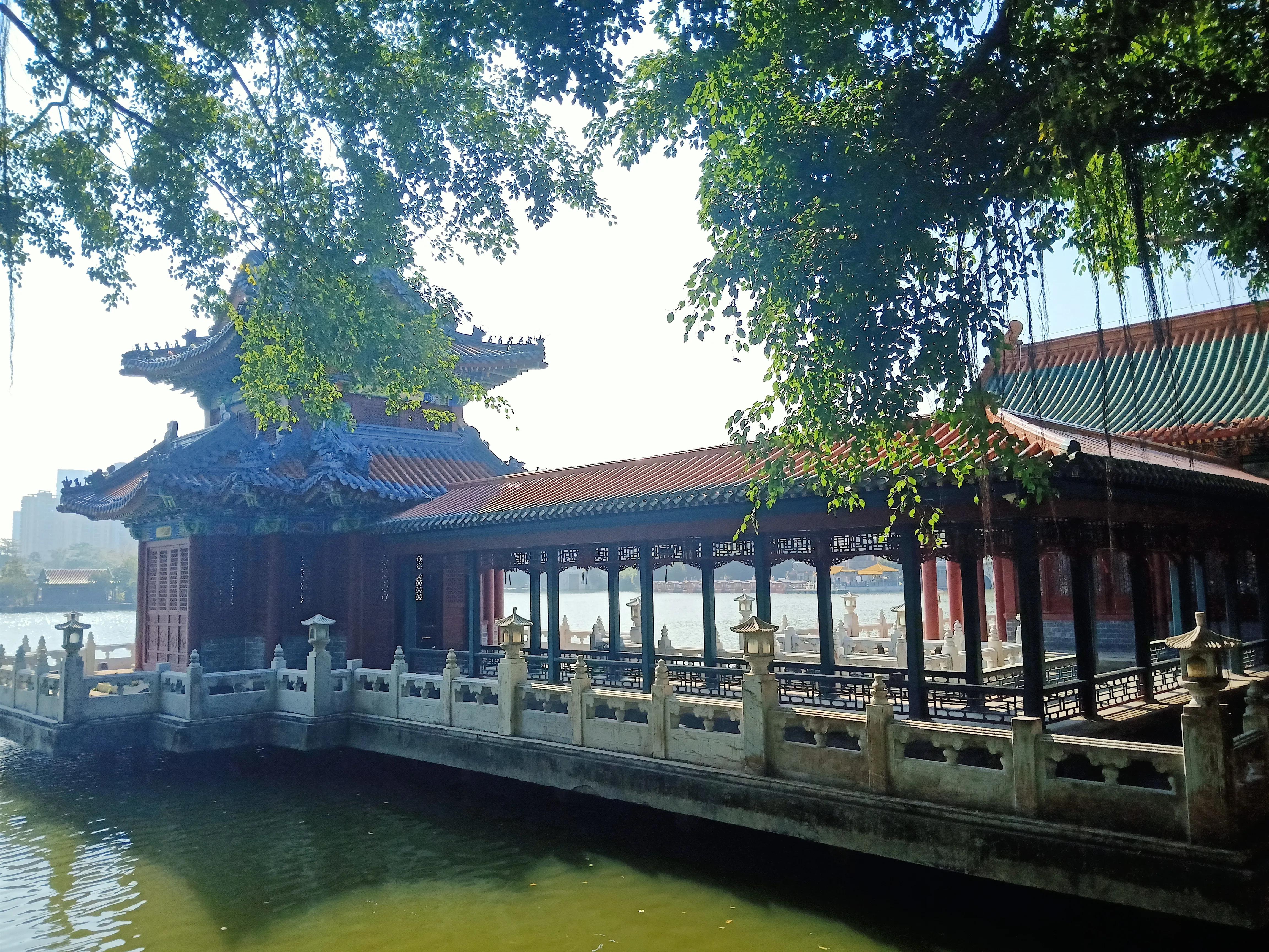 珠海自驾游淇澳岛收费吗,珠海到澳门环岛游一日游