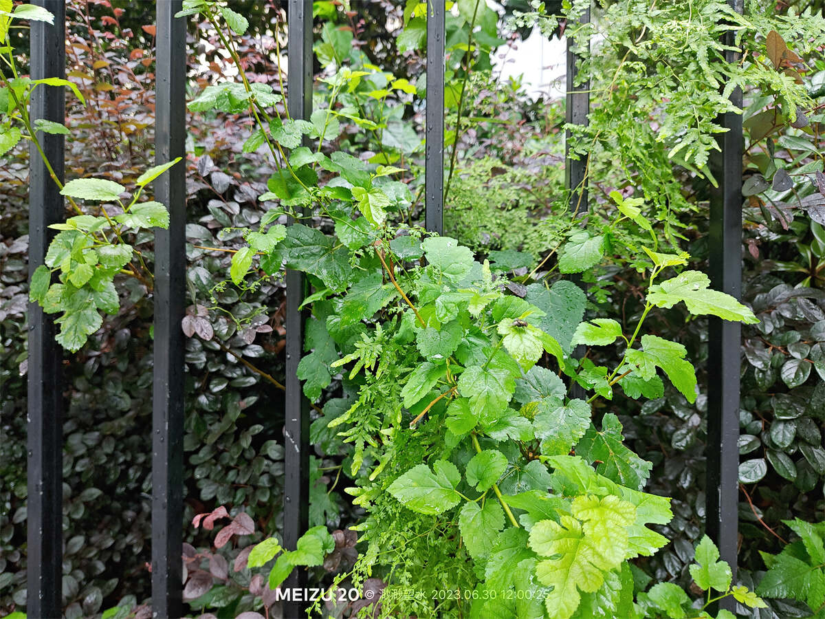 魅族20独白测评体验，来自魅友的10问，到底值不值得入手？