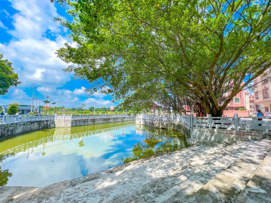 一河两岸广州美景效果图,西樵崇北足球场