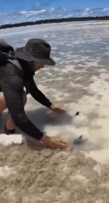 upscayl分辨率可以提升吗,upscale怎么用不了