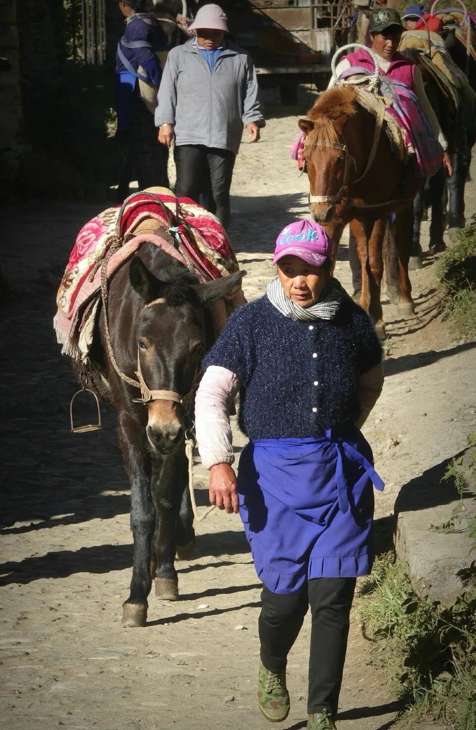 丽江玉湖村游记,丽江玉龙雪山玉湖村游玩攻略