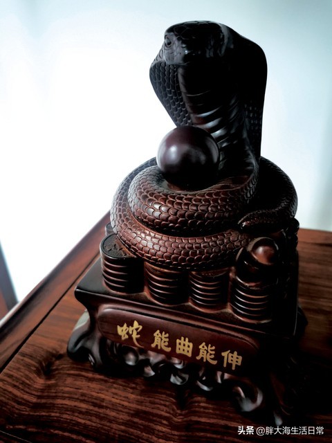 人真正成熟的标志,成熟的标志是什么作文800字