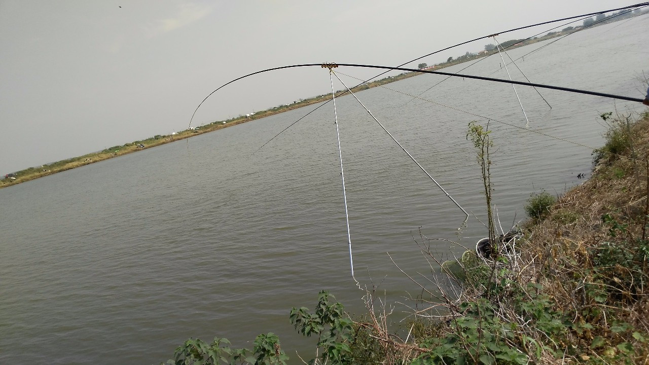 远投钓鲫鱼矶竿好用还是海竿,夏季软尾小矶竿钓鲫鱼最佳方法