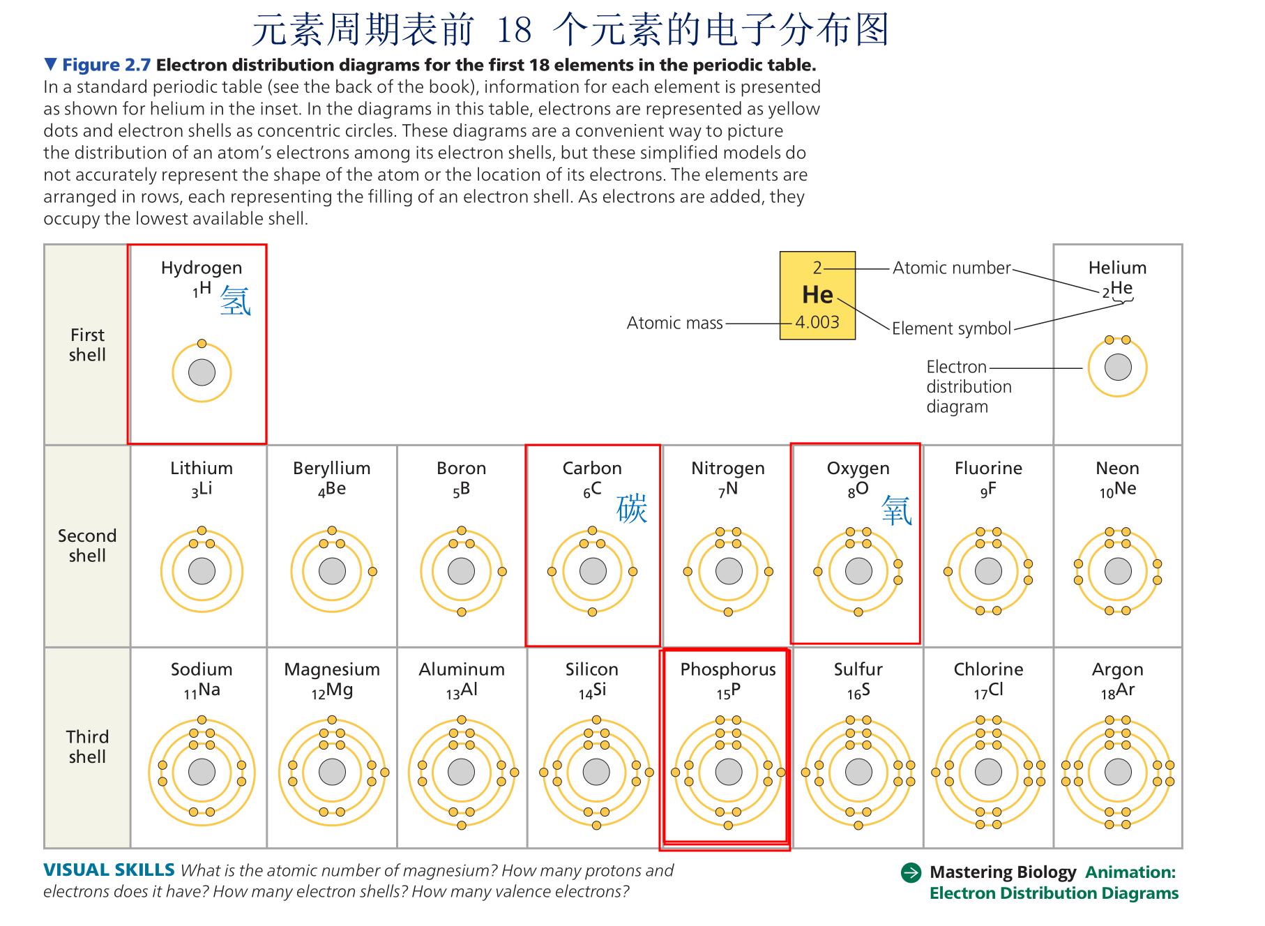 少年科技英语快速入门：认识9百个拉丁语常用字拥抱科技创新