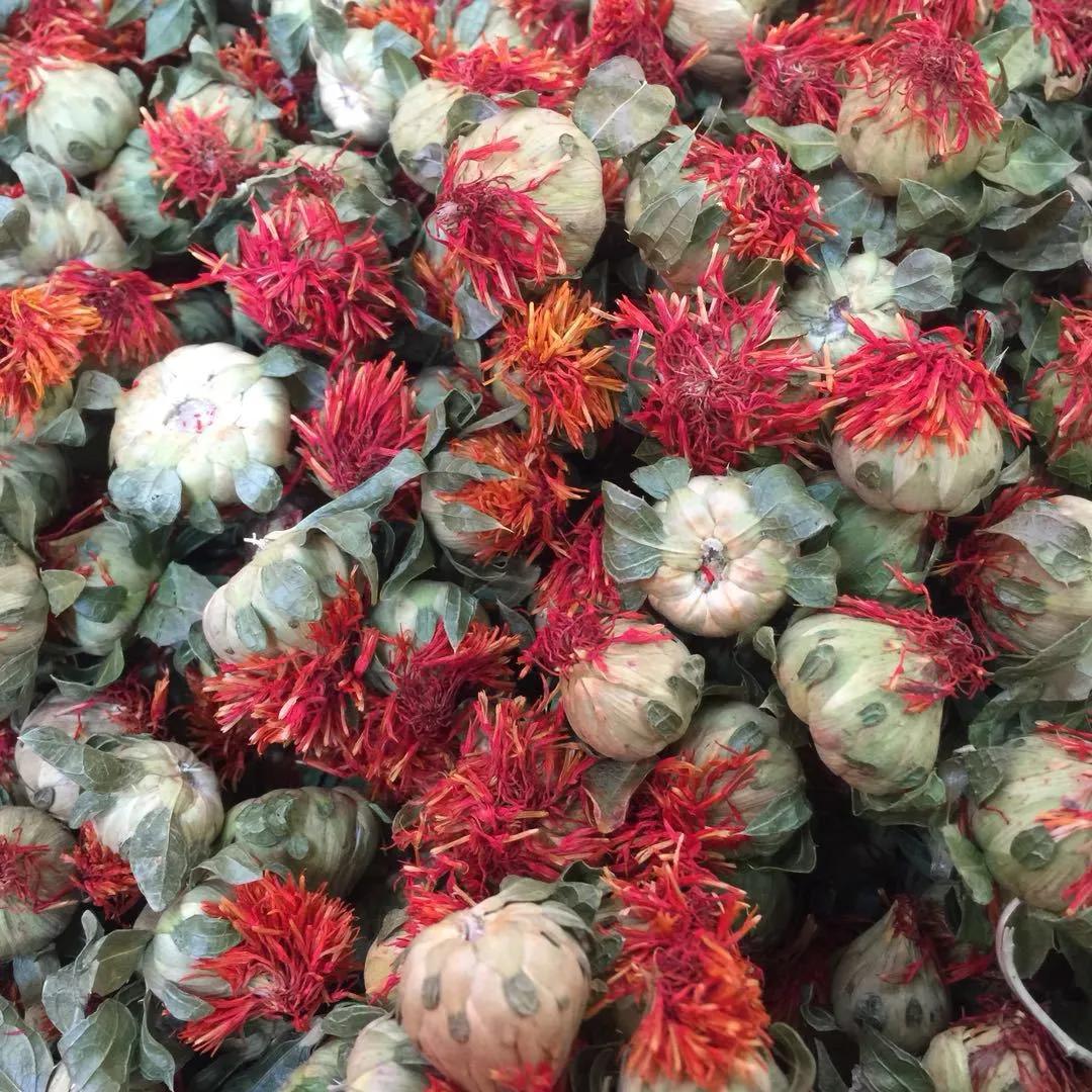 中草药识别红花,中药中的红花图片