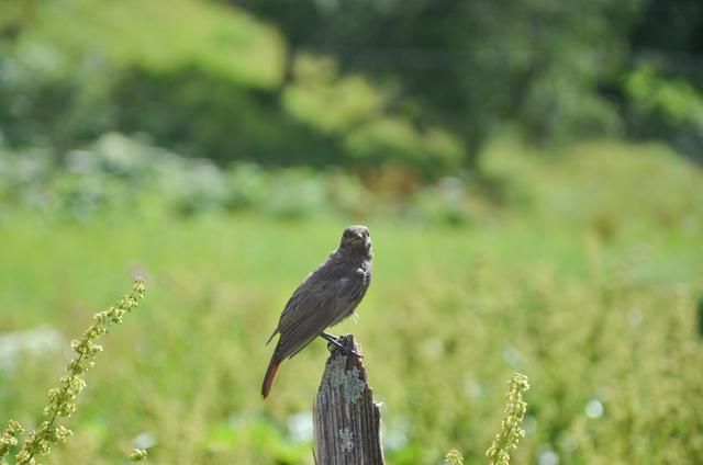 欧洲顶级徒步路线,全球绝美顶级徒步路线