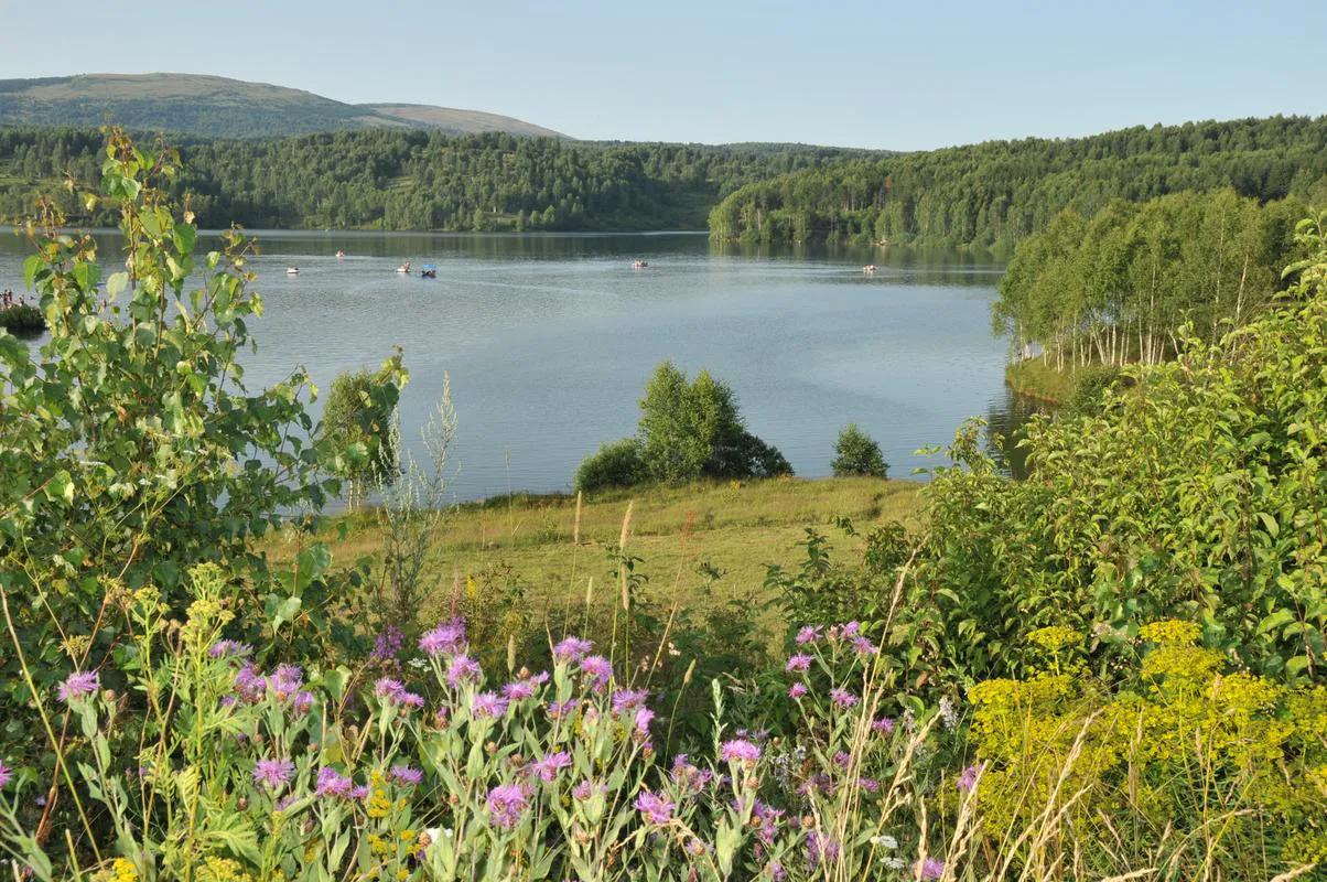 如何灭卫生间小飞蝇,如何灭杀蟑螂