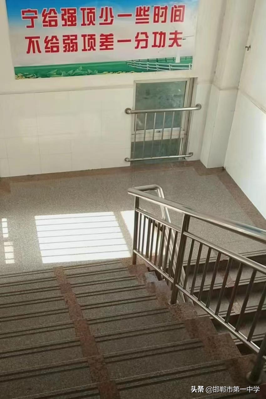 亲爱的母校完整视频,亲爱的母校完整版