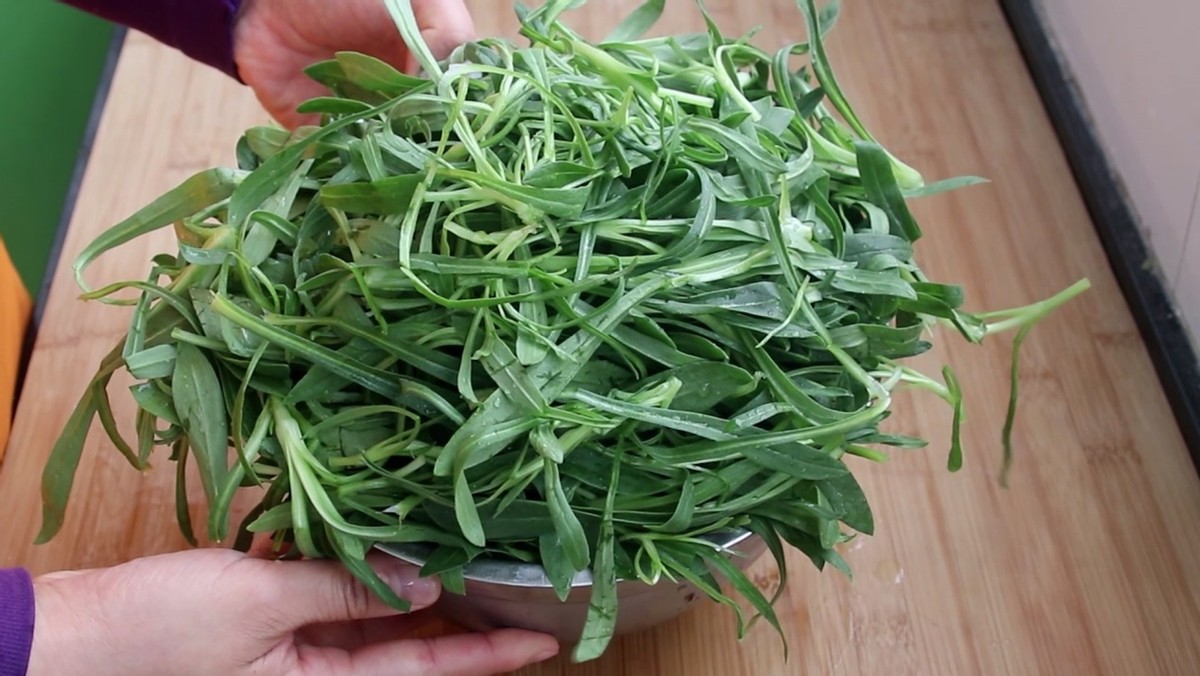 清明莫犯三大忌子孙上坟要谨记,清明节起坟注意事项