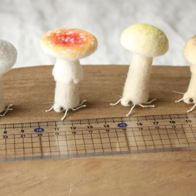 奇形怪状的羊毛毡,奇形怪状羊毛毡