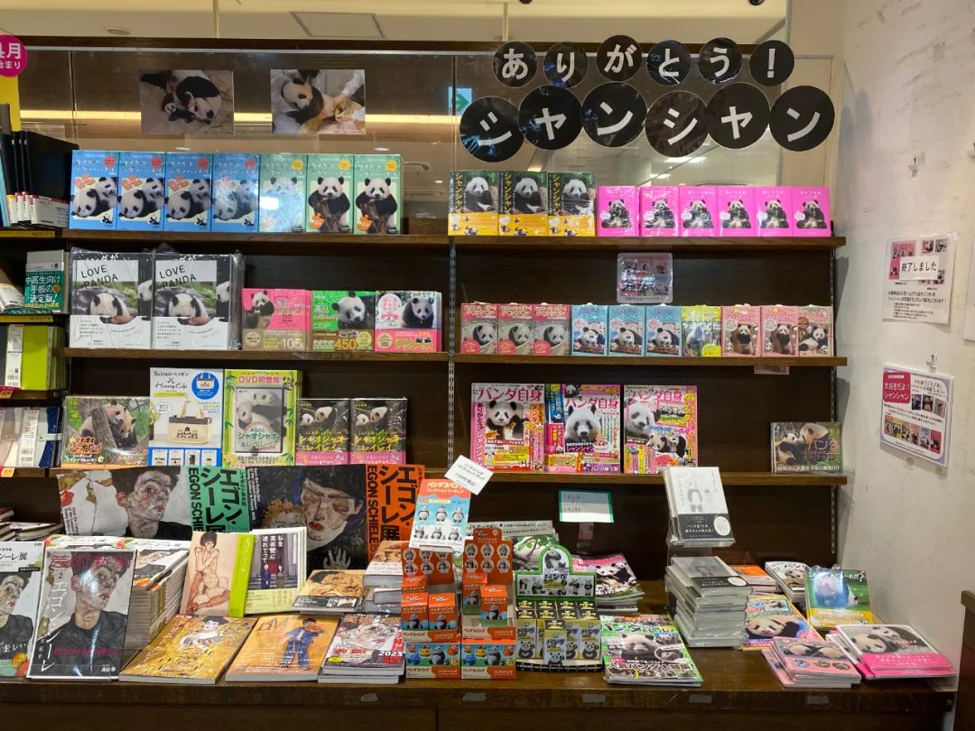 大熊猫香香将启程回国,大熊猫香香最后一天在日本见游客