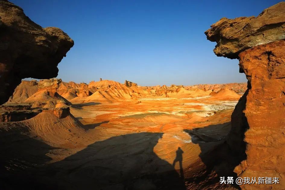 测评omg神仙眼影简直太美 (omg眼影值得入手吗)