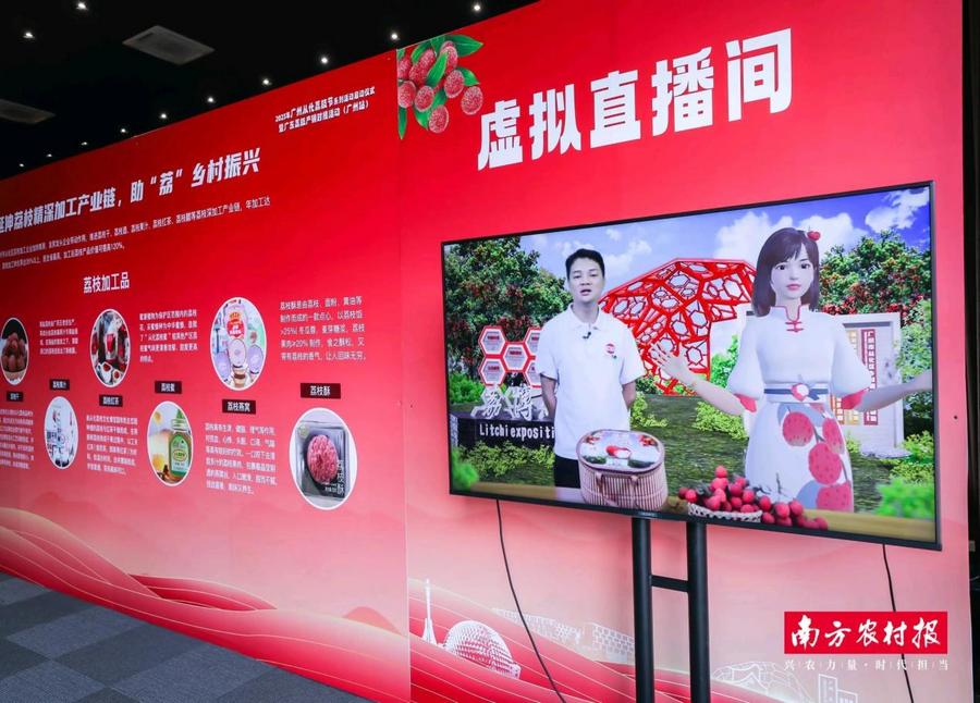 “荔”争上游，从化当“鲜”