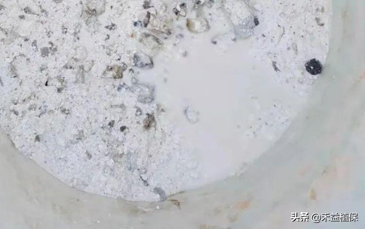 菜籽饼当肥料起什么作用,未腐熟菜籽饼怎样施柑橘果树