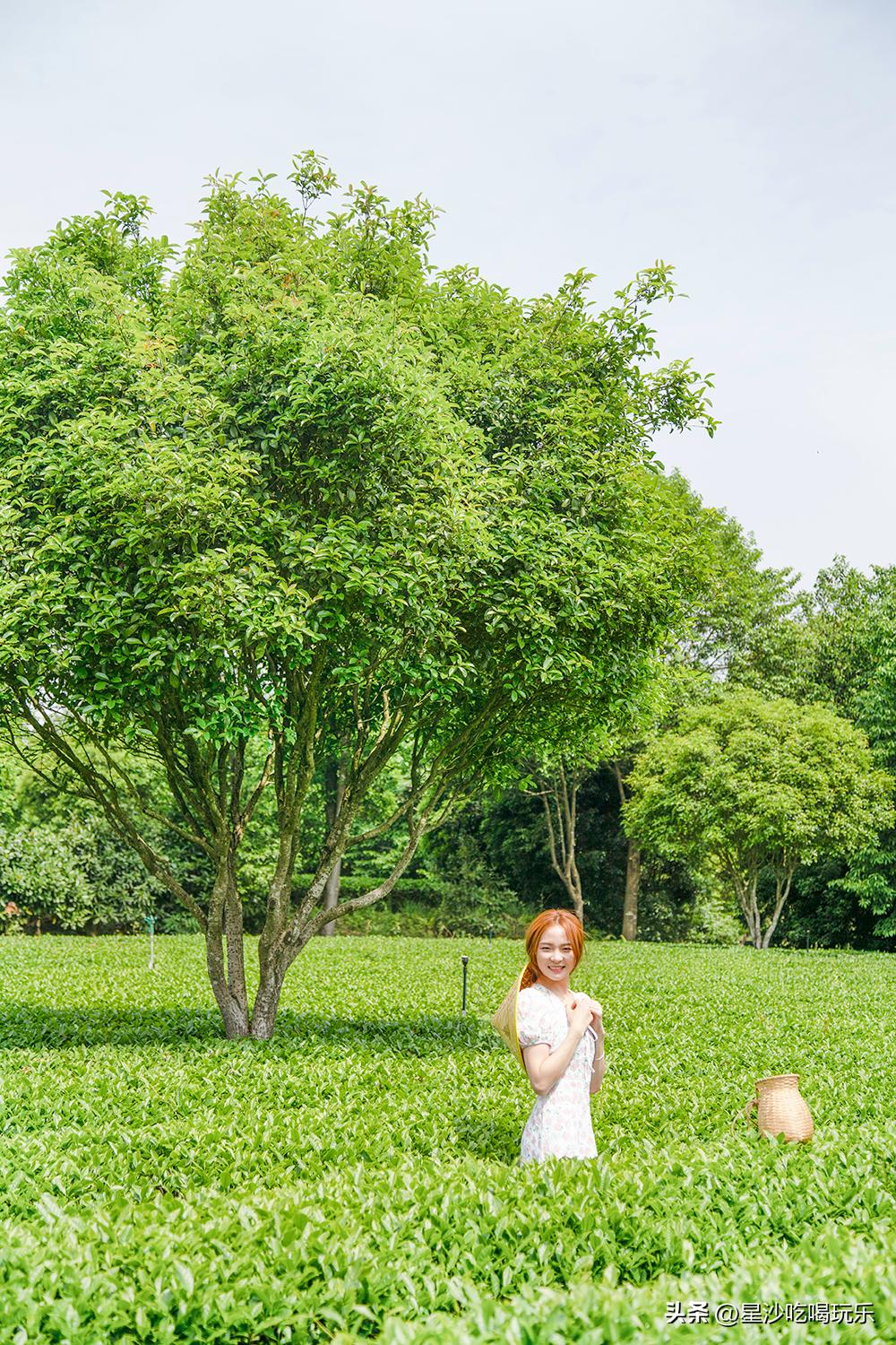 星沙一日游景点大全集,星沙周边旅游景点排名