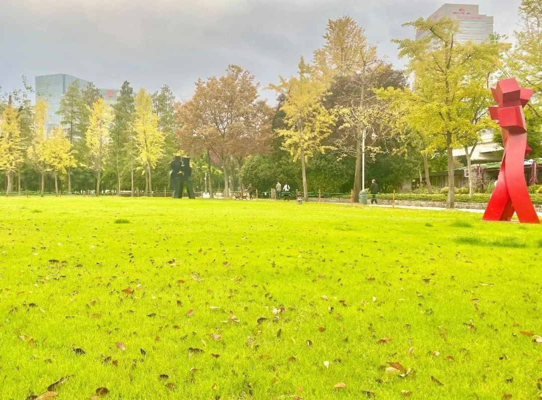 深圳推荐的20个宝藏公园,北京宝藏公园景点