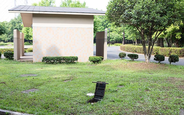 日本城市为什么那么干净,日本东京公园现状