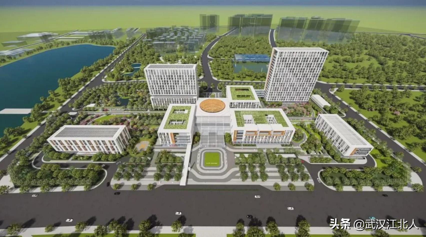 武汉盘龙城公立医院,武汉盘龙城2级以上医院