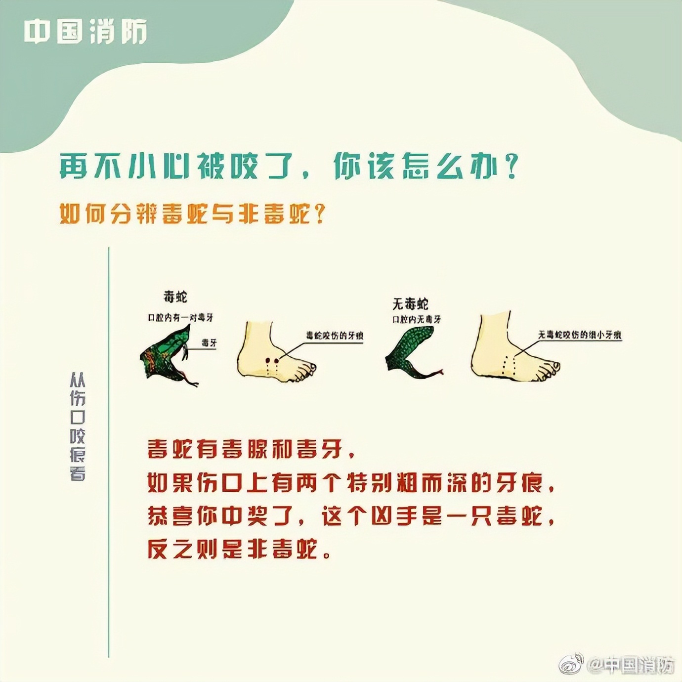 男子在床上被蛇吓视频,男子睡觉被蛇围脚