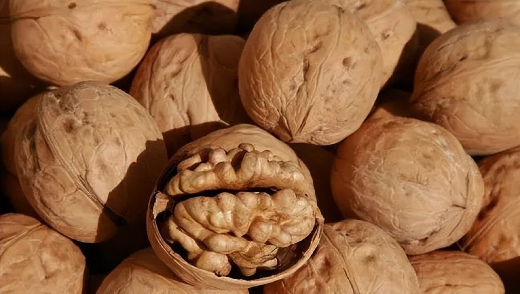 中国地理标志农产品品牌展播,济宁优质农产品品牌