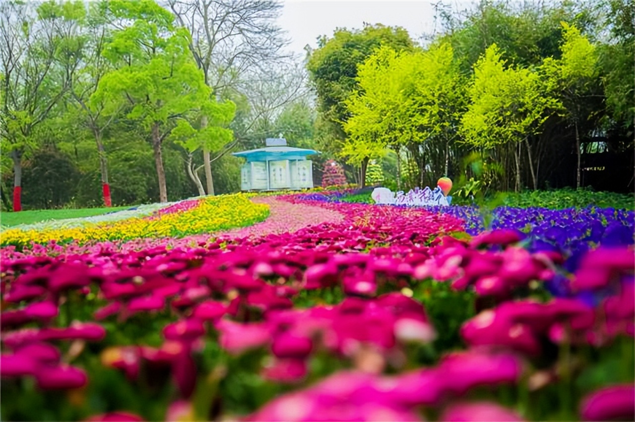 园林景观包括的项目,园林景观主题有哪些