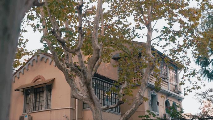 疫情后,他改造150㎡老洋房独处,太太也爱来做客