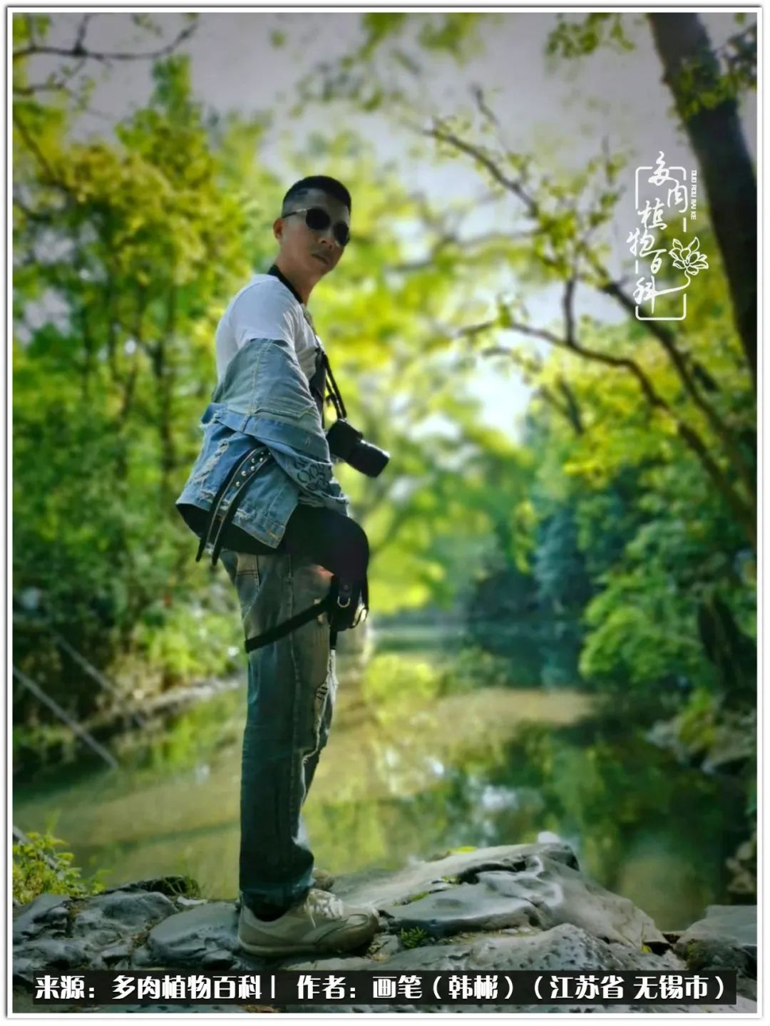 月满西楼别有一番滋味在心头,绿肥红瘦