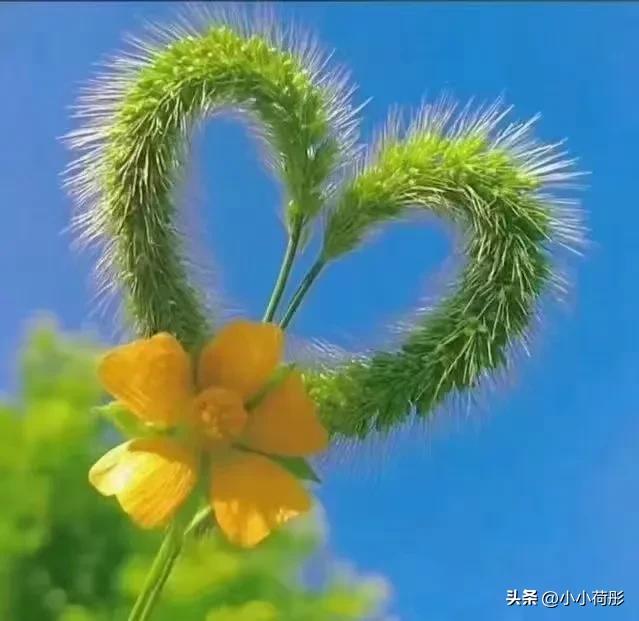 石头剪刀布街头亲吻和拥抱戏外国,石头剪刀布儿歌原唱