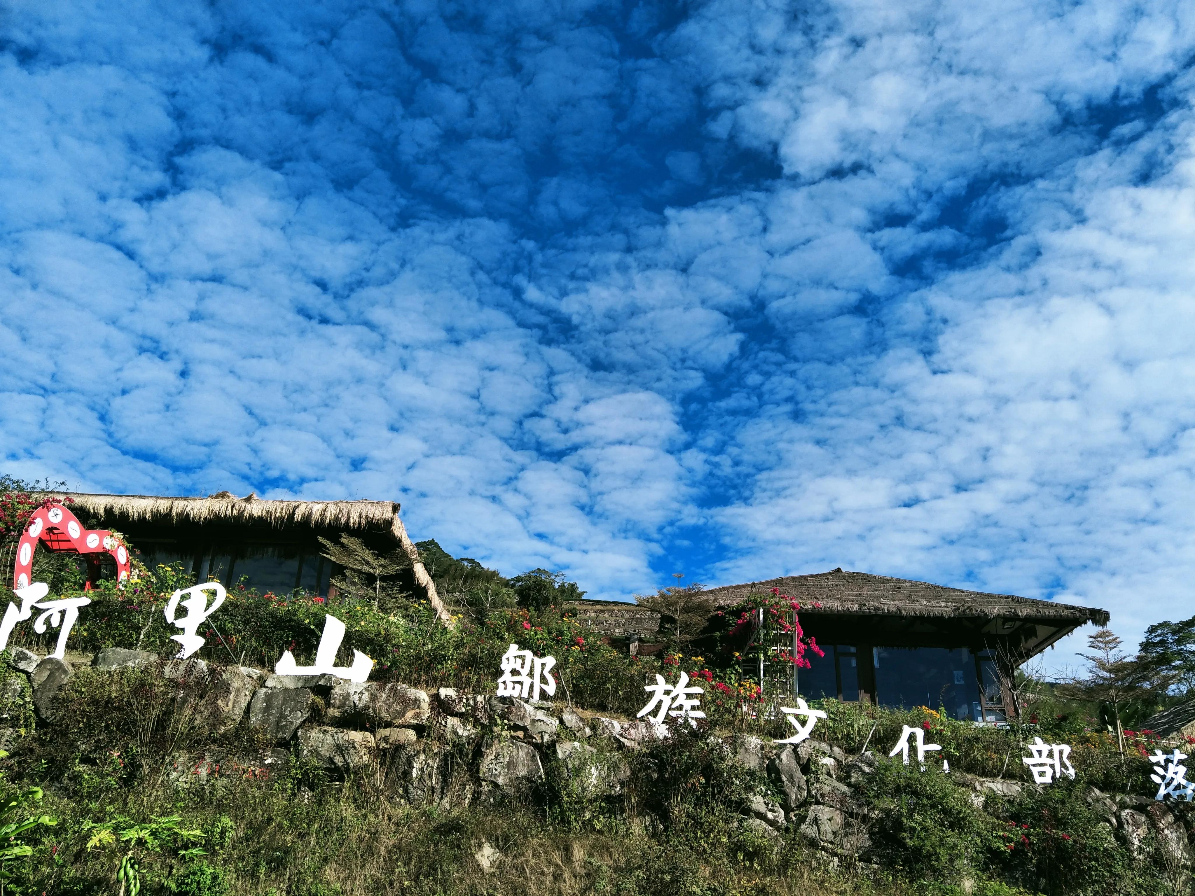 阿里山的云雾让人惊愕的是什么,阿里山的云雾莫名的惊愕和喜悦