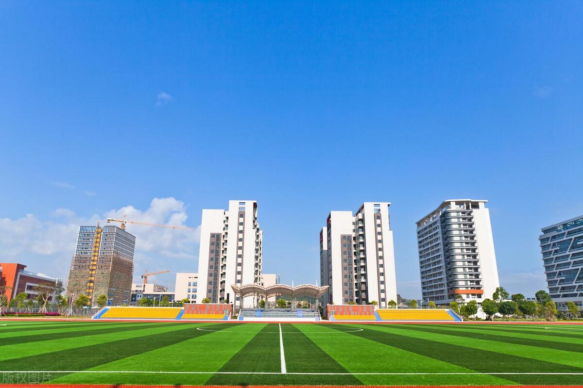 中外合作办学专业的真相,中外合作办学计划内的利与弊