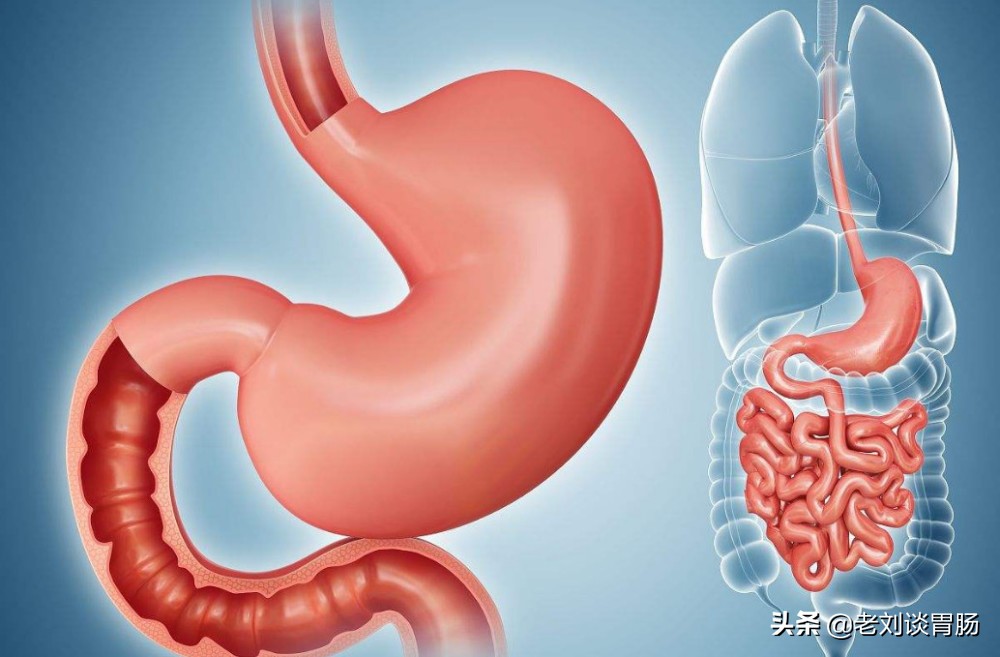 肠道健康问题一看便知,胃肠检查一问一答