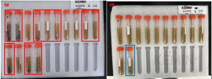 蛋鸡葡萄球菌感染症状,产气荚膜梭菌的感染条件