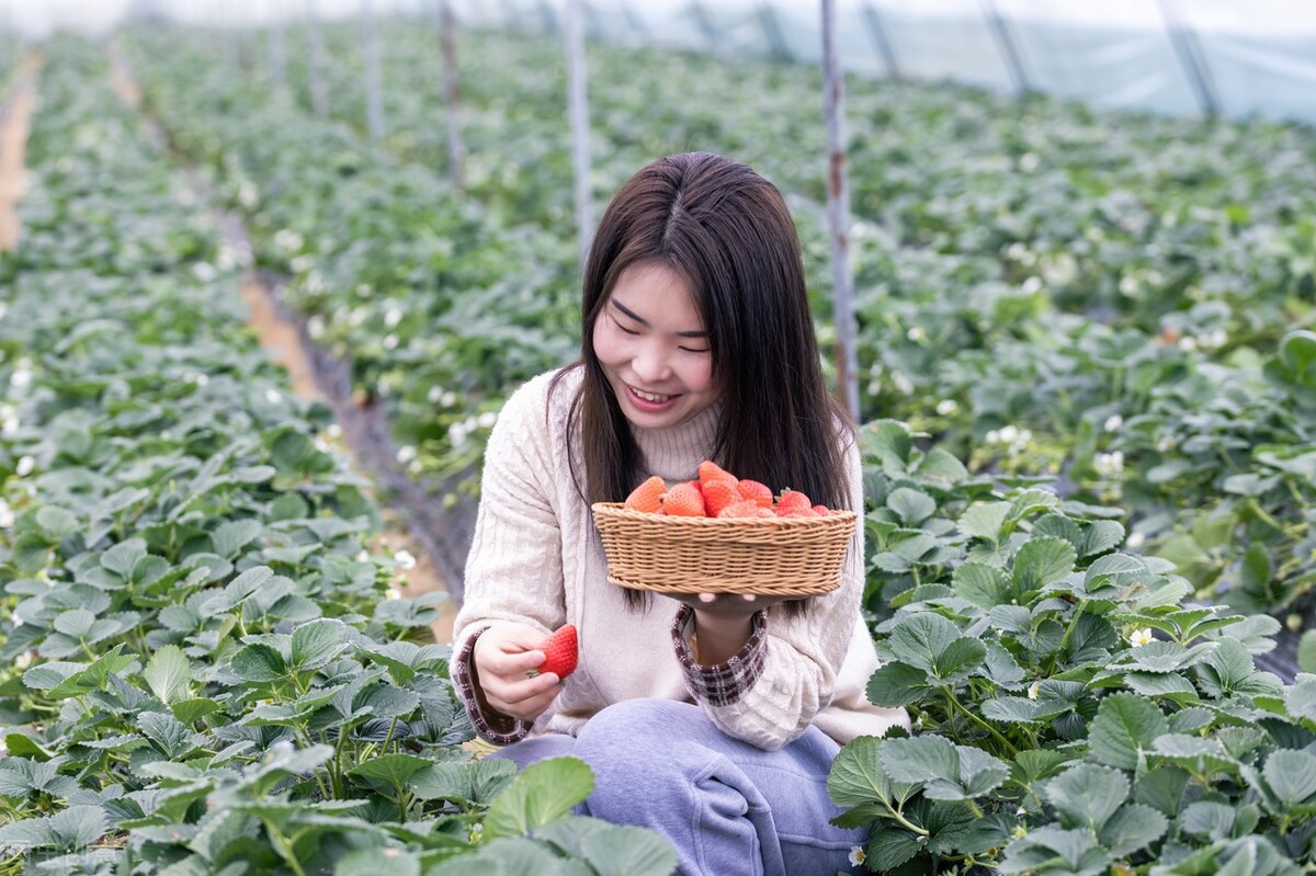 农业概念股一览表,a股8月的主赛道在哪