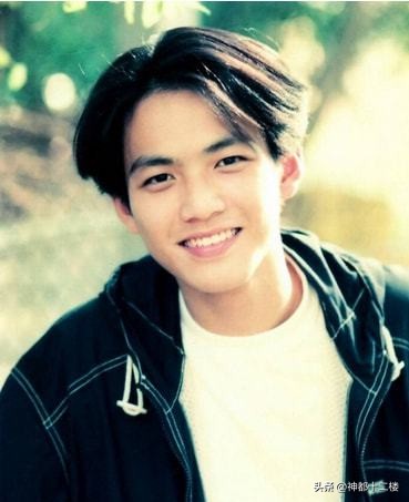 以前长得好看的男星古天乐张卫健,十大古装美男古天乐张卫健