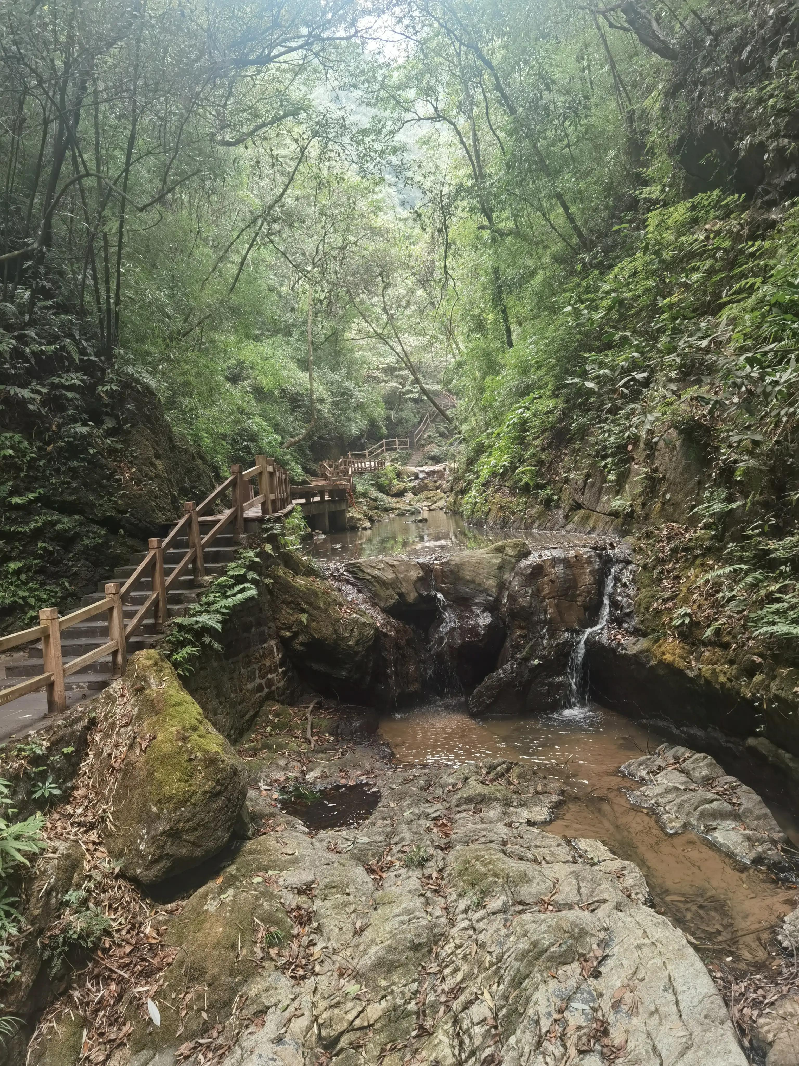 重庆到黑山谷的交通路线,重庆黑山谷旅游攻略美景图片