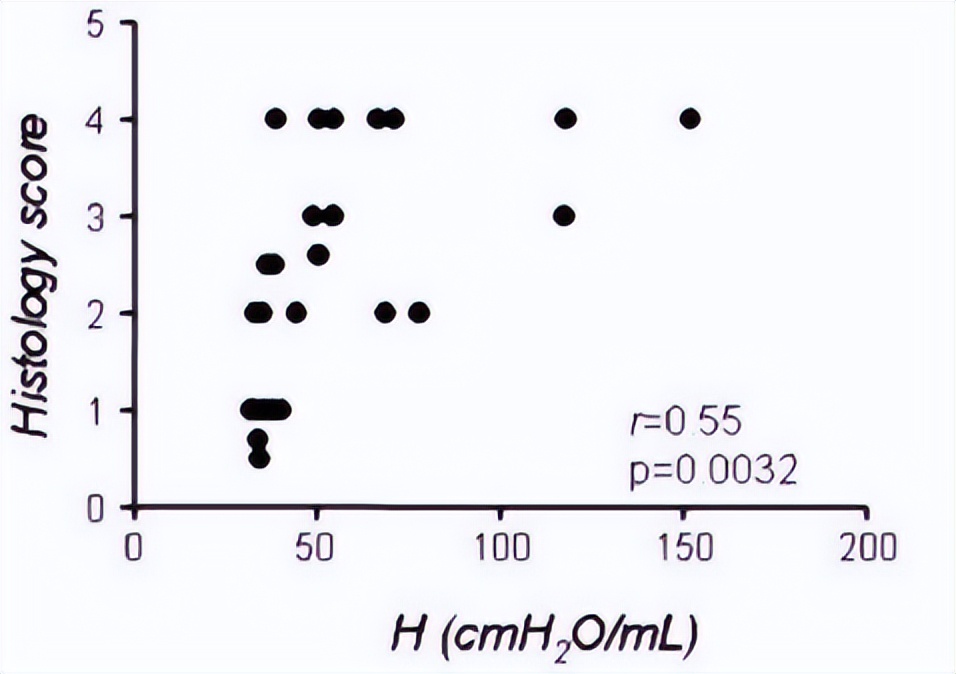 探索海洋固氮蓝藻毛滴虫联盟的转录活性，揭示水平氮循环潜在机制
