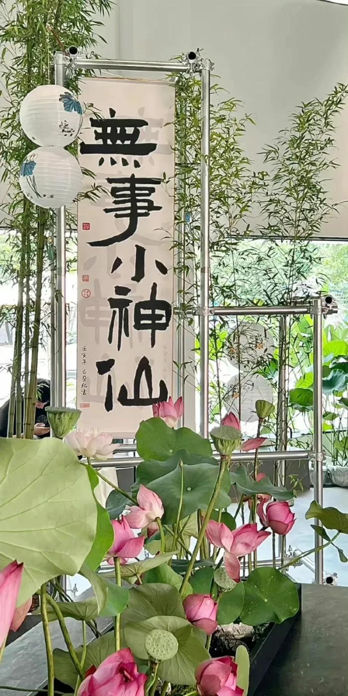 小说句｜走走停停啊《春藤树》句子摘抄