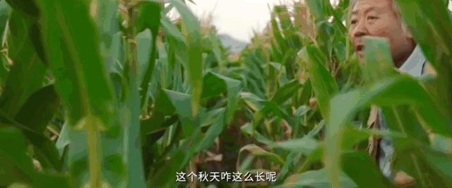 国产科幻电影三体,国产剧三体评分